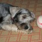 Durmiendo:)