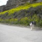 Corriendo.
