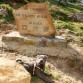 Descansando despues del trote que se dio, no para un segundo kieta, termino metida en un charco.