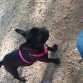 mi niña bonita