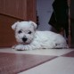 Sury con solo 2 meses