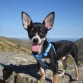 Hugo con tres meses en la montaña.