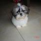 esta es Kira, la nueva niña mimada d la casa
