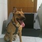 Celebrando sus 10 meses, corriendo con "papi"