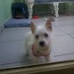 Buzz Bebe