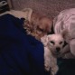 mis niñas dormiditas en su cama aww...