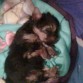 esta dormida 