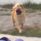 FRIDA CORRIENDO