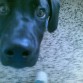 siempre chupando camara¡¡