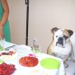 todos a la mesa!!!!!!