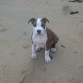 con 3 meses en la playa