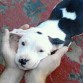 Yo de pequeñito :)