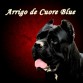 Arrigo de Cuore Blue- Cane Corso
www.cuoreblue.com