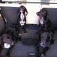 Estos 4 perritos se han encontrado en Valencia, son dos machos y dos hembras, si estas interesado ena doptar o acoger, escribeme a MartaCrue@gmail.com o llama al 722740557. El lunes volverán a la calle porque no podemos tenerlos mas!!por favor, es urgente!!!