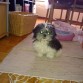 ¿Cómo puede ser tan chiquitita?. Foto tomada el mismo día que llegó...:)