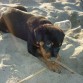 en la playa, 2 meses de vida