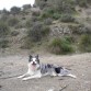 Después de traer chorromil palos así es como me quedo... muerto :P