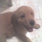 Tenia como 3 o 4 meses