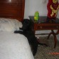 eta tambien de peke es un sol¡¡ siempre quire subirse ala cama¡