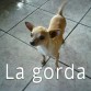 ella es mi gorda tiene 3 años