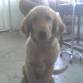 Tenia 8 meses y muy inquieta 