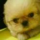 MIRANDO DETENIDAMENTE LA CAMARA !!! CON ESA  CARITA NO MATA NI UNA MOSCA PERO A SUS 1 MES Y MEDIO UFF ES YA TERRIBLE