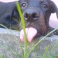 6 meses