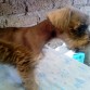 HEMBRA SAL Y PIMIENTA AUN ESTA
