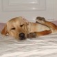 durmiendo es un poco especial