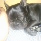 dormidita que wapa