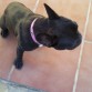 que wapa es mi gordita!!!