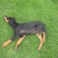 Un descanzo