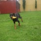 Y lo trae  ;)