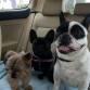 mis 3 mosqueteros jijiji
