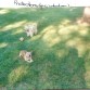 Estabamos en el parque junto a Bartolo el perro que tuve primero y que falleció el año pasado