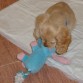 Jugando