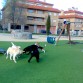 Jugando de buen rollo.