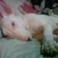 Tumbadita en la cama con 4 meses