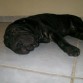 descansando despues de tanto jugar!!
