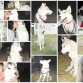 aki ae un poko mas recientes en las de noche tenia  8 meses