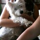 con mi pequeño terri
