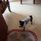 don crack 