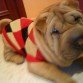 calentito con mi jersey