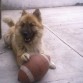 FRIDA CON PELOTA