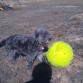 luna jugando al tenis