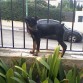 En el muro.
