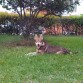 neron de 04 meses en el jardin