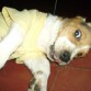 huy aki keriendo asustar jajajaja......