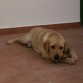 venus con 7 meses