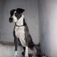 Julio 09